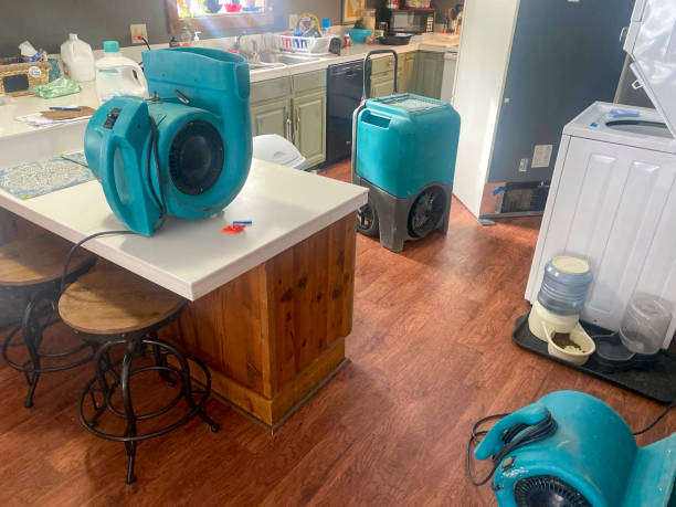 Best Ceiling water damage repair  in East End, AR