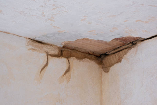 Best Water damage restoration near me  in East End, AR
