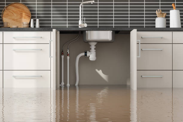 Best Sewage cleanup and water damage restoration  in East End, AR