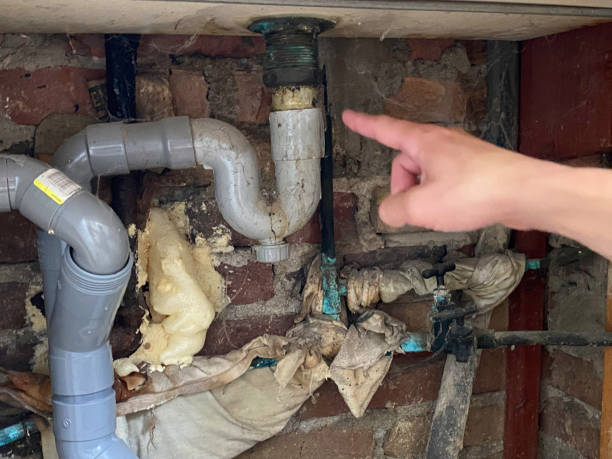 Best Water damage cleanup near me  in East End, AR