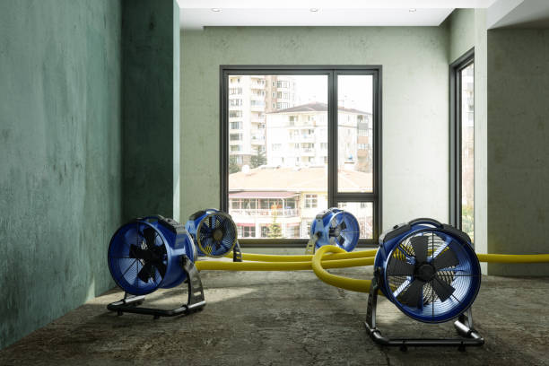 Best Water damage restoration near me  in East End, AR